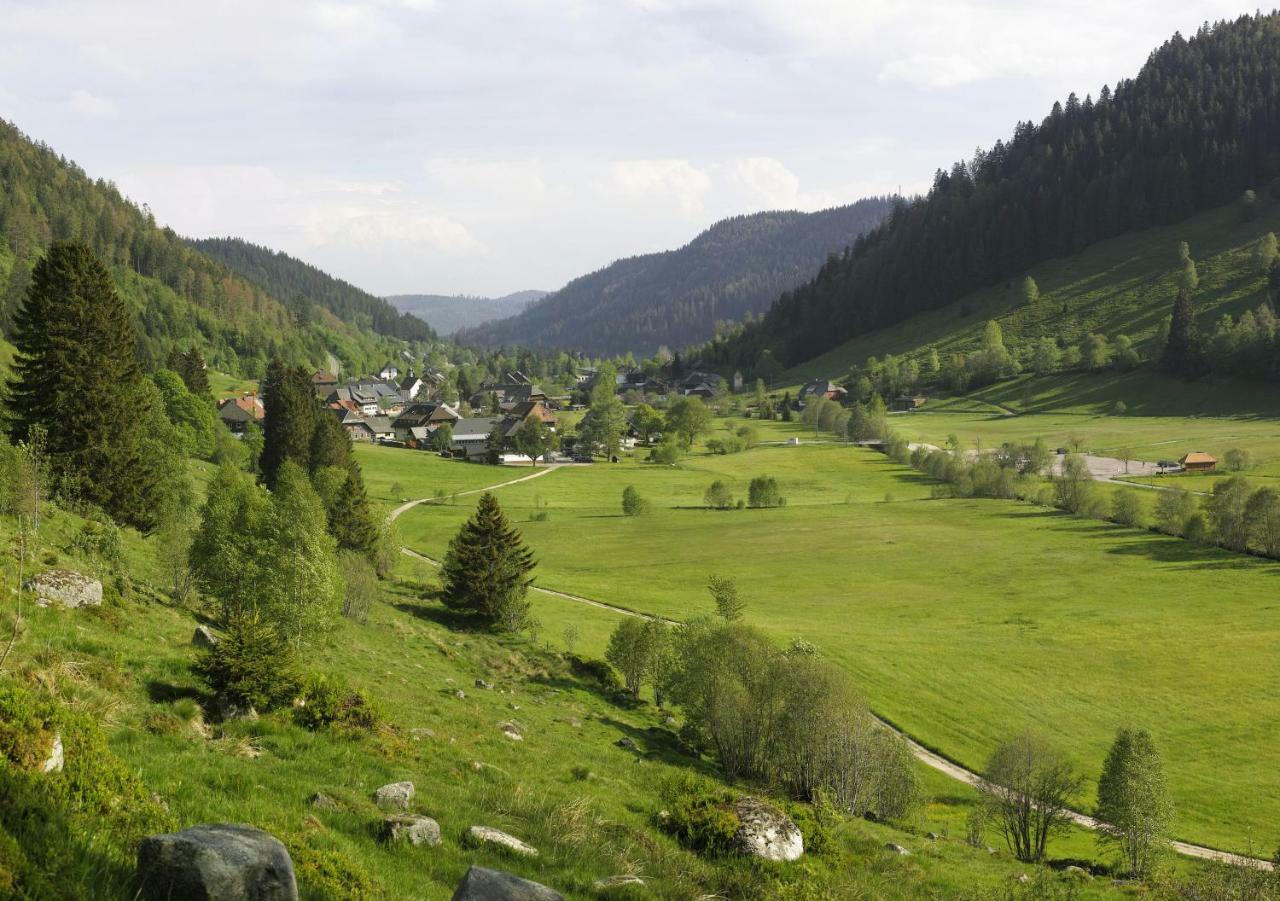 Fewo C2 für bis zu 2 Personen St. Blasien Exterior foto
